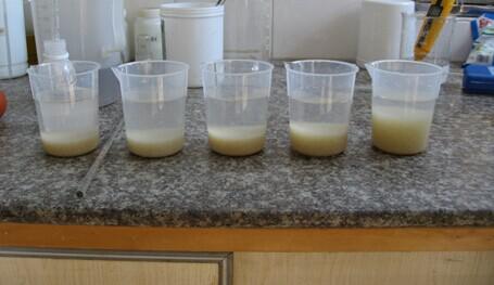 復合堿和片堿對比實驗組