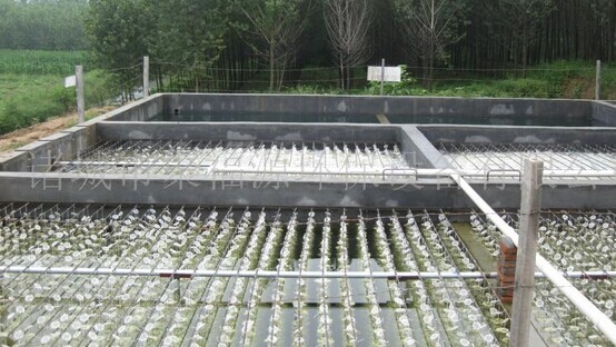 養(yǎng)殖廢水處理