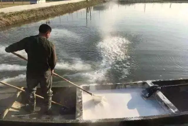 水產養殖氨氮處理